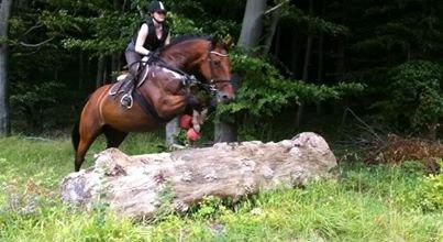 Oldenborg Okholms Caranya - Caranya´s første tur i terrænet :o) billede 1