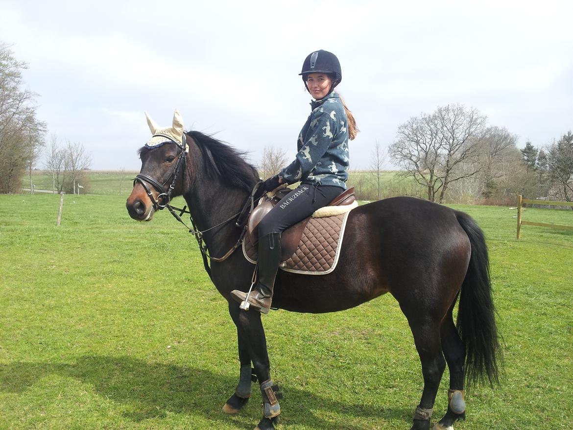 New Forest JOLIE billede 21