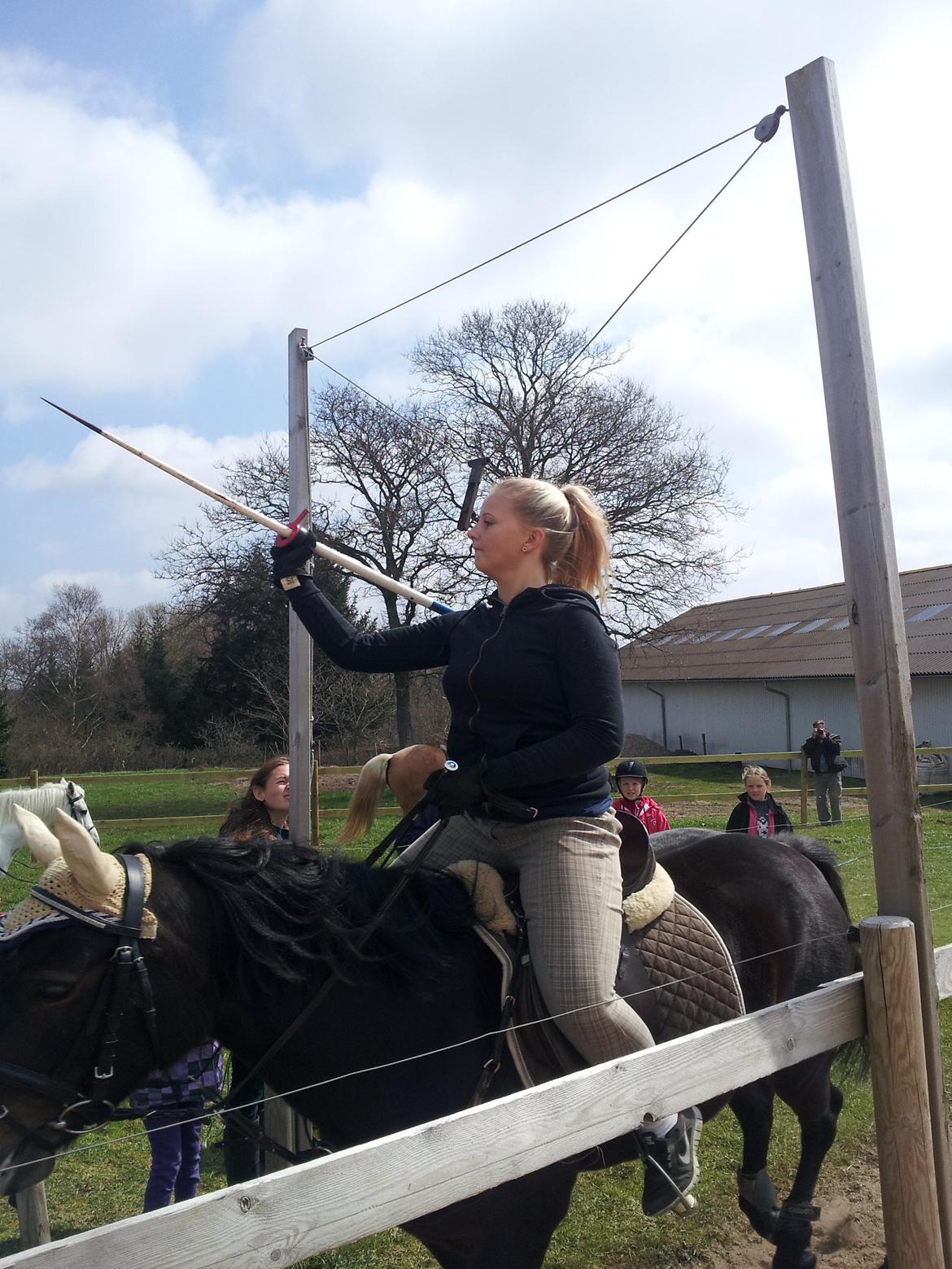 New Forest JOLIE billede 22
