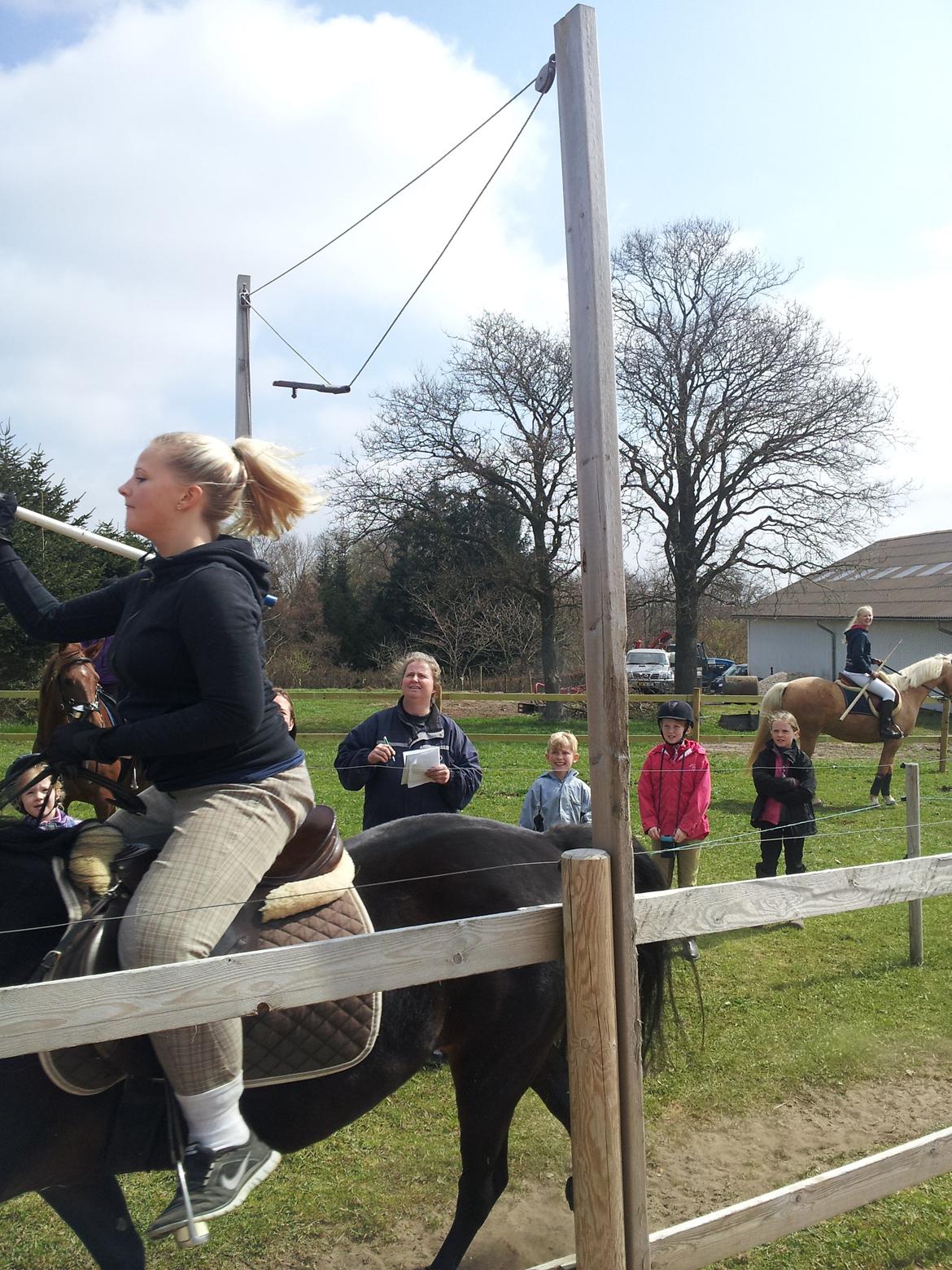 New Forest JOLIE billede 23