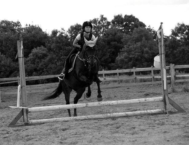 New Forest JOLIE billede 25
