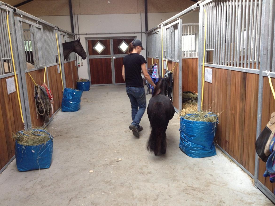 Anden særlig race Im The Peanut *Nutte* billede 11