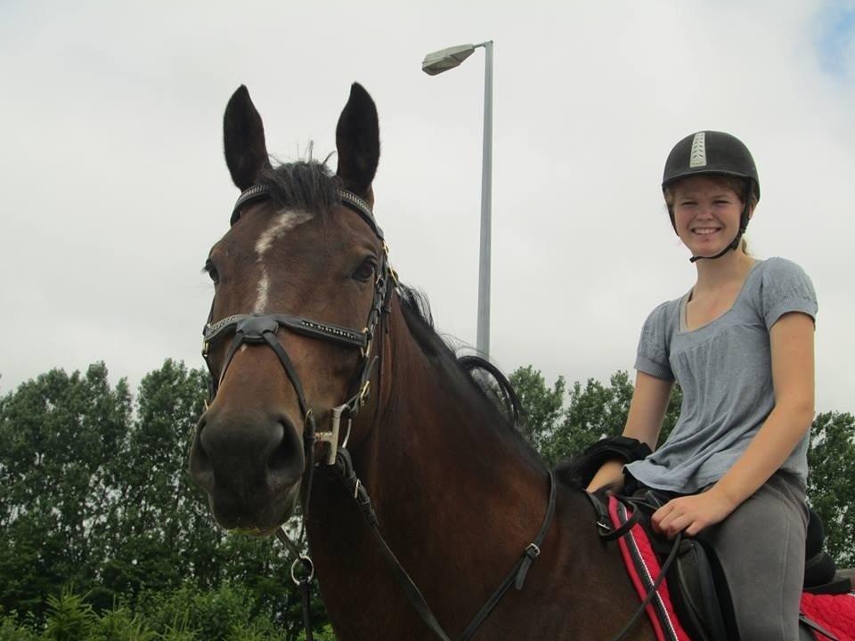 Dansk Varmblod - Adventure C. - Jamen hej! billede 12