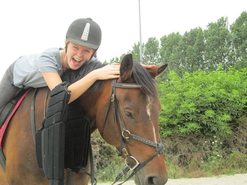 Dansk Varmblod - Adventure C. - Fordi vi kan ;) billede 9