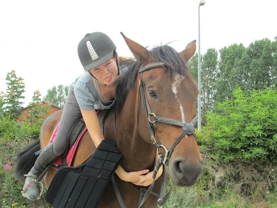 Dansk Varmblod - Adventure C. - Lille put <3 billede 16