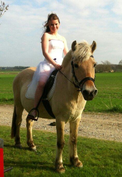 Fjordhest Julie Sejr R.I.P - Min fantastiske pony til min konfirmation! <3
- Ikke lige det bedste billede men elsker mullepigen ubeskrivlig højt uanset hvad! <3
- 9-5-2013  billede 16