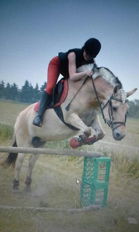 Fjordhest Julie Sejr R.I.P - Min skat sprang fantastisk den dag!
- 2013 billede 17