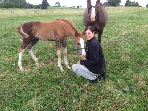 Anden særlig race Vandløbsgaardens Chili-Shakealot - Du&Jeg. billede 3