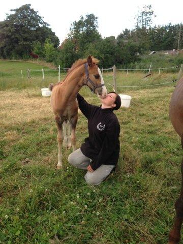 Anden særlig race Vandløbsgaardens Chili-Shakealot billede 10