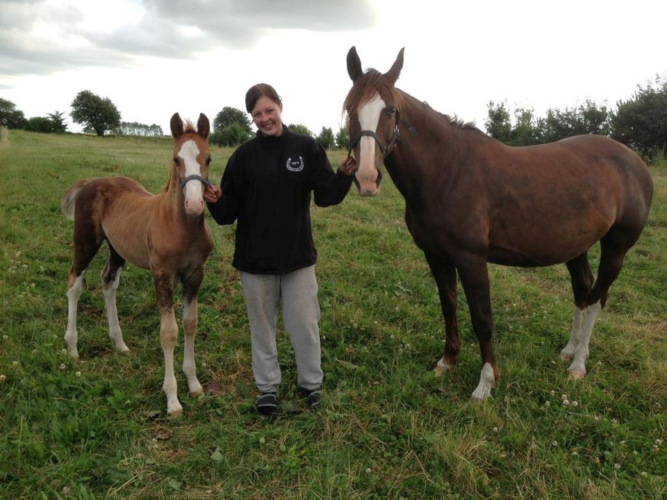 Anden særlig race Vandløbsgaardens Chili-Shakealot - Chili med mor billede 11