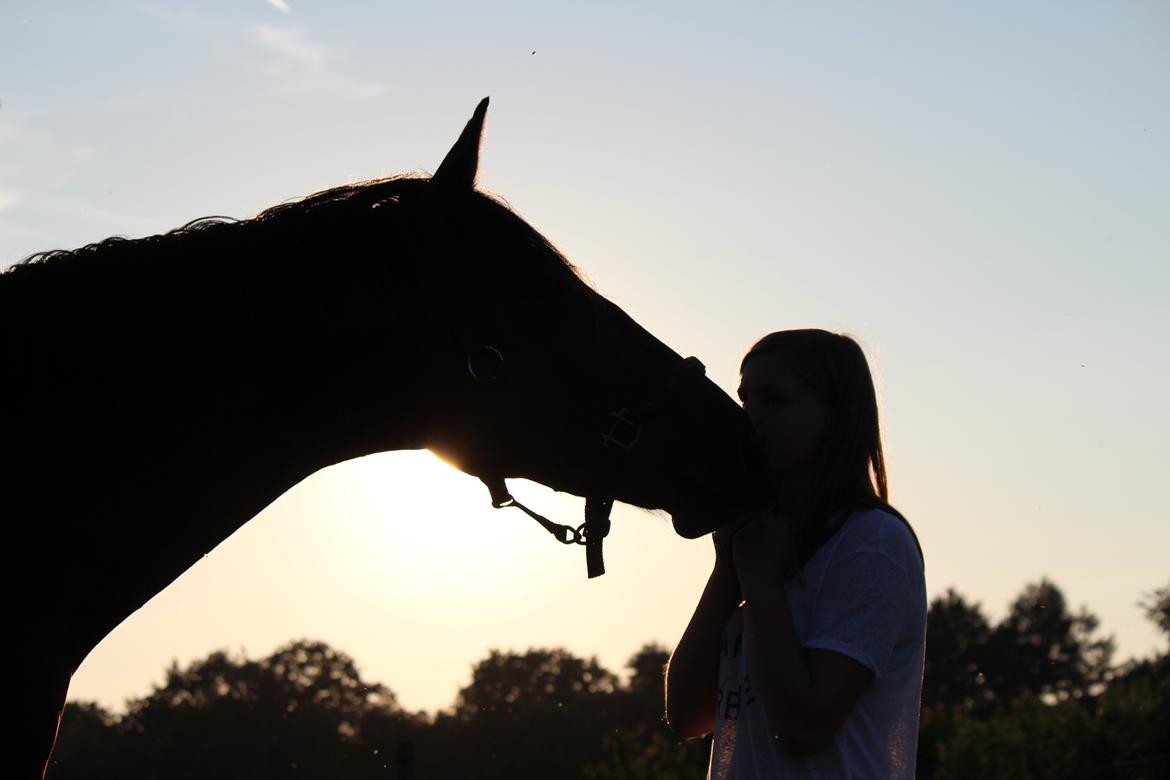 Pinto Pegasus | Soulmate | - 1) „Kærlighed er når en person ikke ændre på dig eller dit liv men i stedet er en del af det.. billede 1