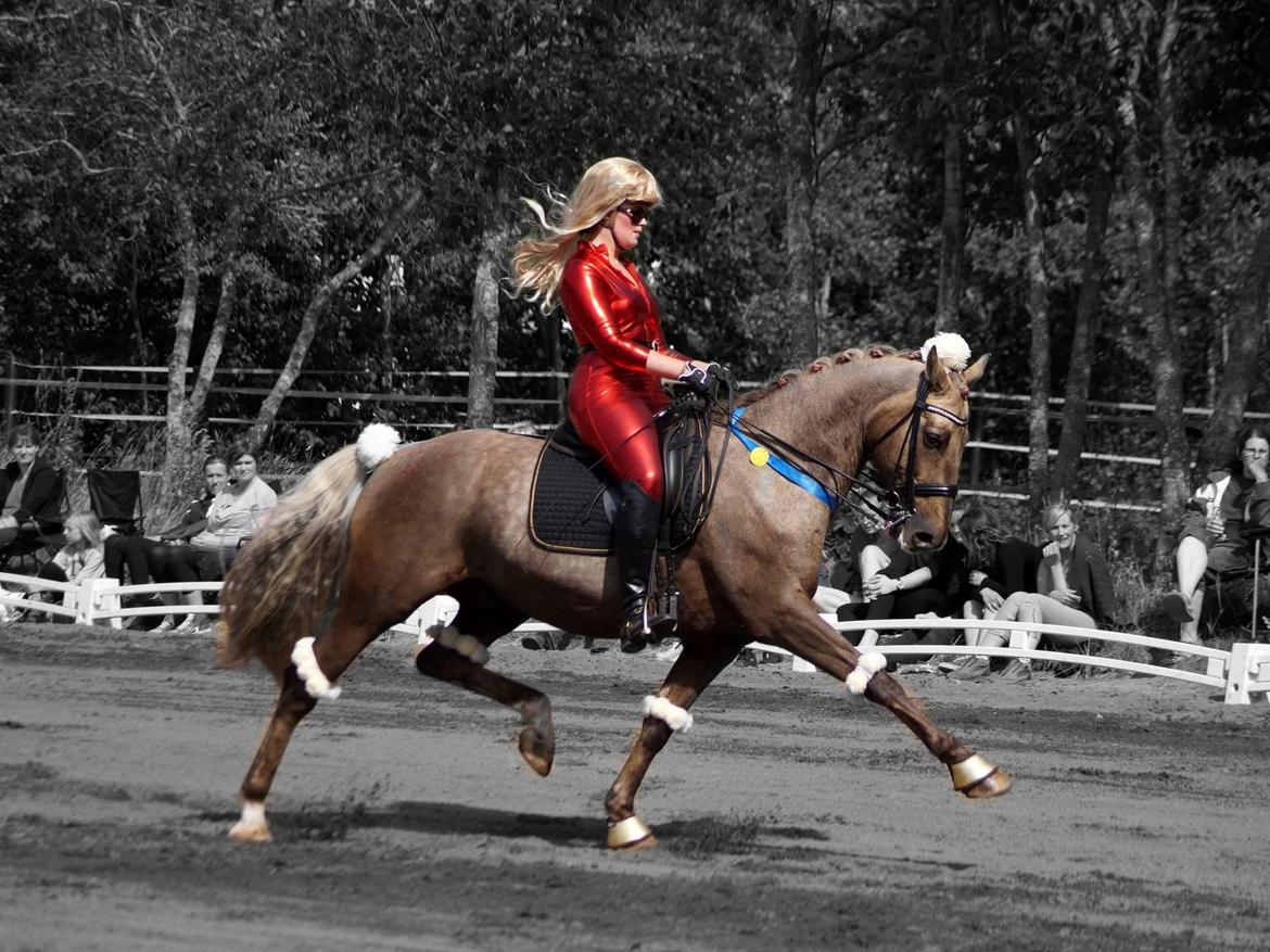 Palomino CHOPALI - Jysk Rideuge 2013 - Kostume Kür - FOTOGRAF: www.PernilleKirstine.dk billede 8