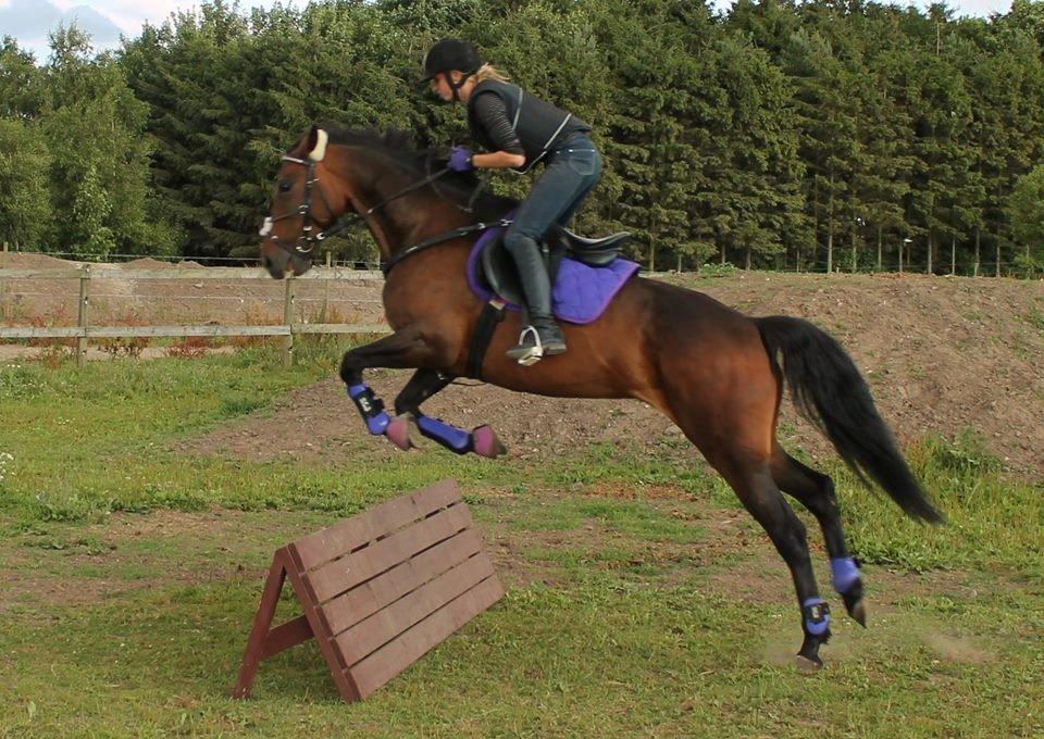 Traver Ragpicker's Dream "Pippi" <3 billede 4