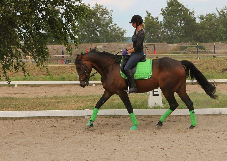 Traver Ragpicker's Dream "Pippi" <3 billede 2