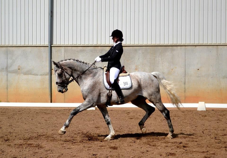 Holstener Caprillio - 5# Jysk rideuge 2013 i La6 =)
-Billedet er taget af Frida Bertelsen =) billede 5