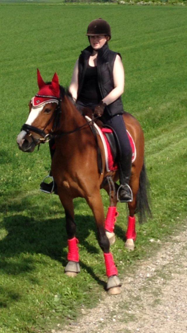 DSP Moonjam´s Princess billede 17