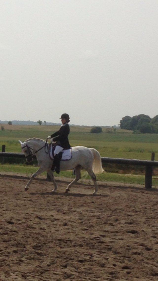 DSP Siska Bredager billede 1