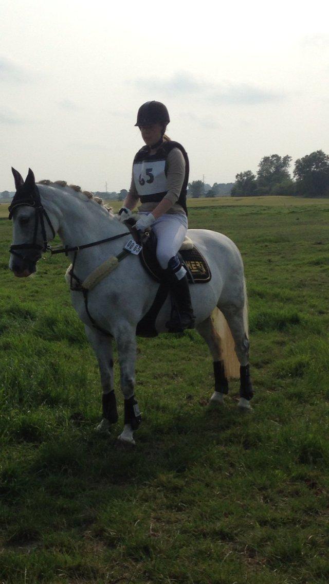 DSP Siska Bredager billede 2