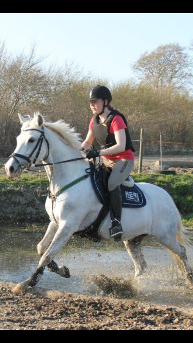 DSP Siska Bredager billede 4