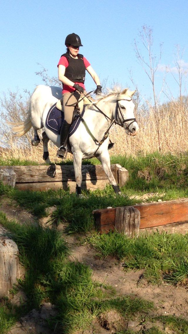 DSP Siska Bredager billede 5