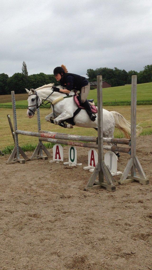 DSP Siska Bredager billede 6