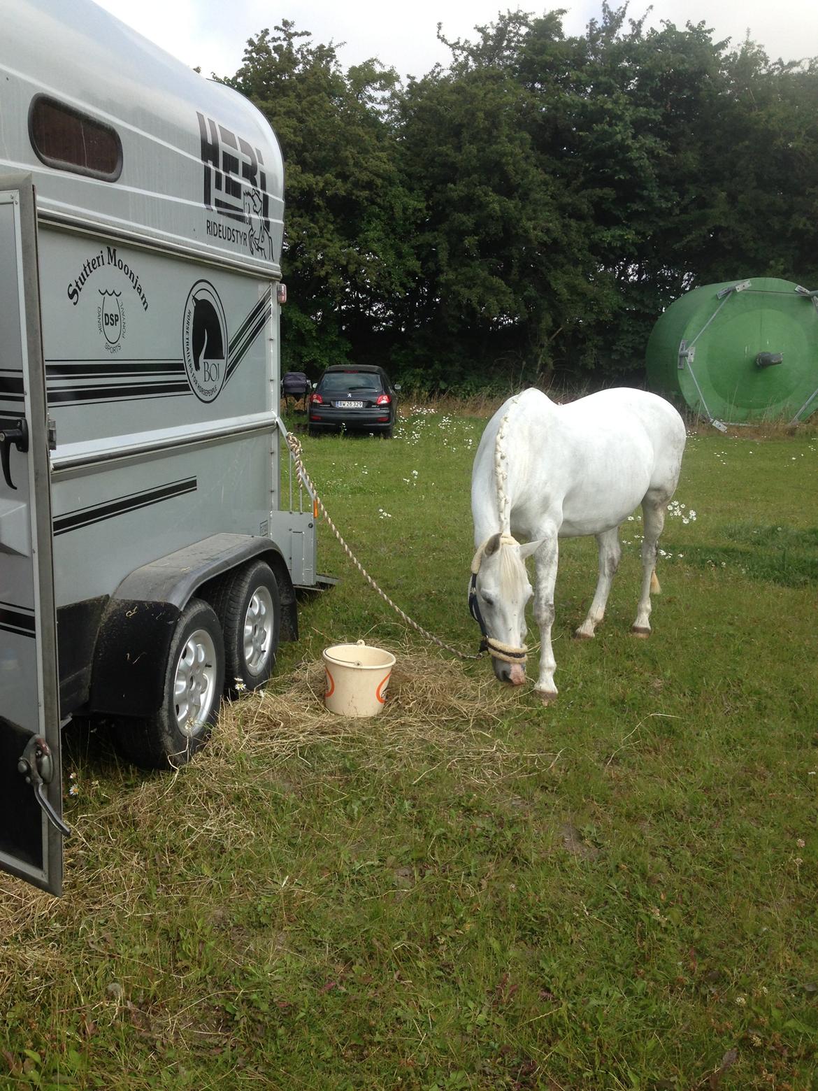 DSP Siska Bredager billede 8