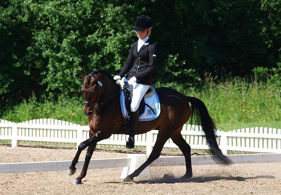 DSP Moonjam´s Mr. Sunshine billede 22