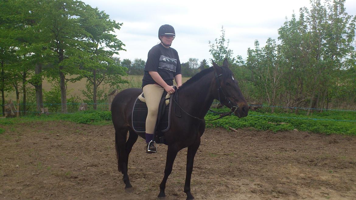 Traver New S (Daisy) R.I.P billede 8