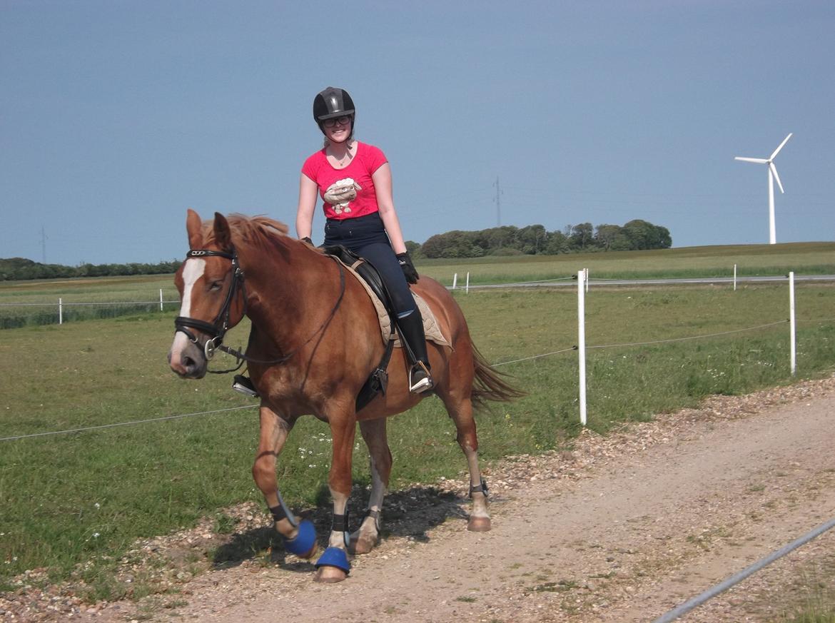 Frederiksborg Romeo - Min søster og Romeo - 7. Juli 2013 billede 14