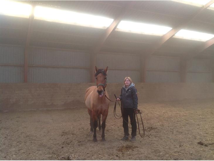 {{currentPhoto.altText}} billede {{currentPhoto.number}}