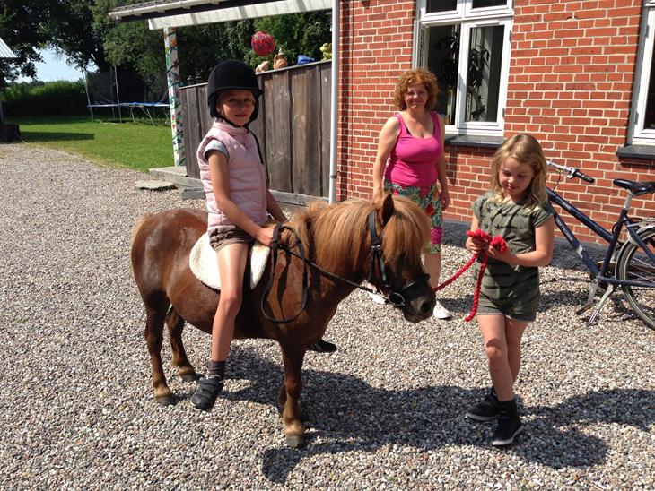 {{currentPhoto.altText}} billede {{currentPhoto.number}}