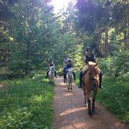 Anden særlig race Copperfield