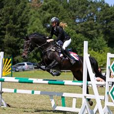 Knabstrupper Bækkeskovs Pasja *SOLGT og RIP :(*