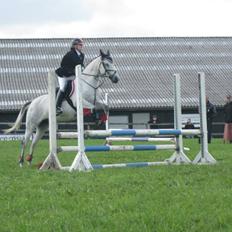 Anden særlig race Myomy Melody