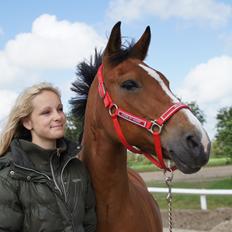 Anden særlig race Skovkrogens Bandine