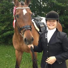 Dansk Varmblod Coctail