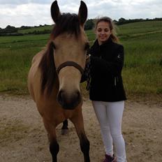 Anden særlig race Harbygaards Eddie Murphy