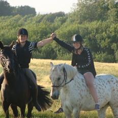 Anden særlig race Ydun