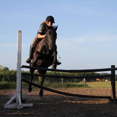 Anden særlig race Ydun