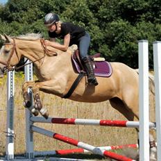 Anden særlig race Roosgårdens Chanta Lou