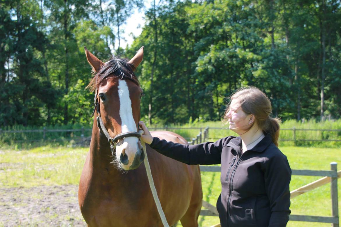 Oldenborg Phoebe de Ville billede 8