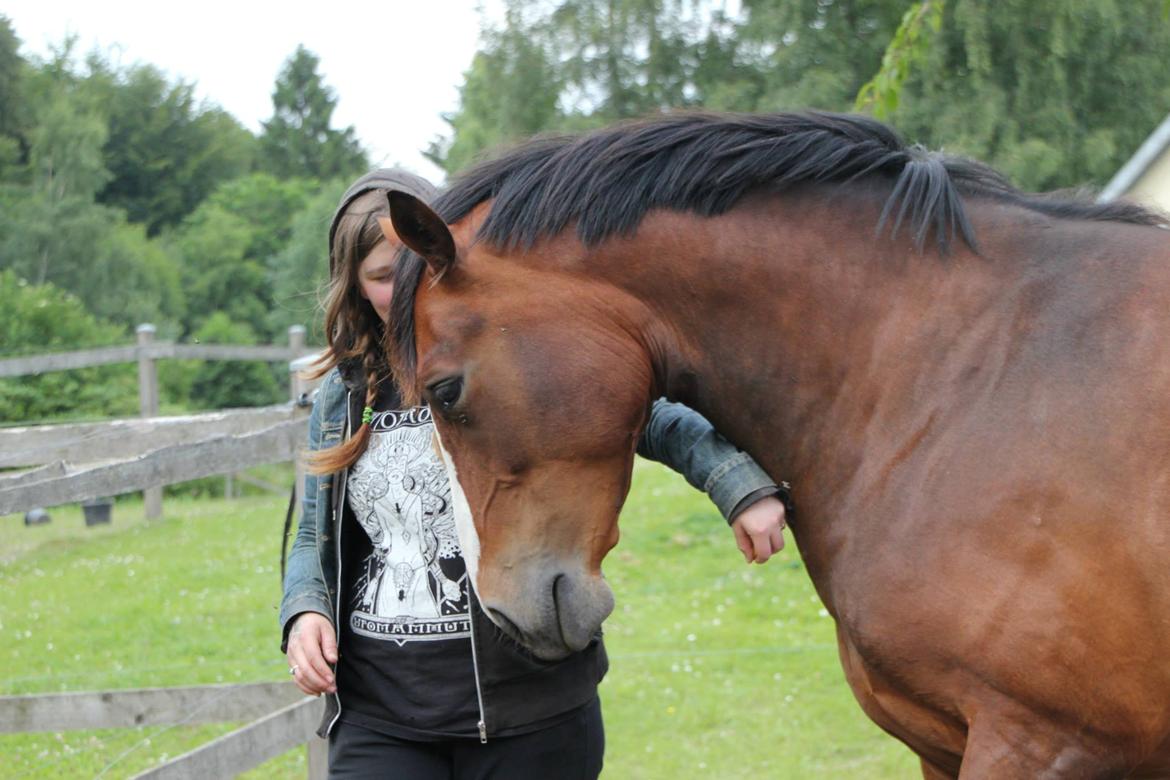 Oldenborg Phoebe de Ville billede 9