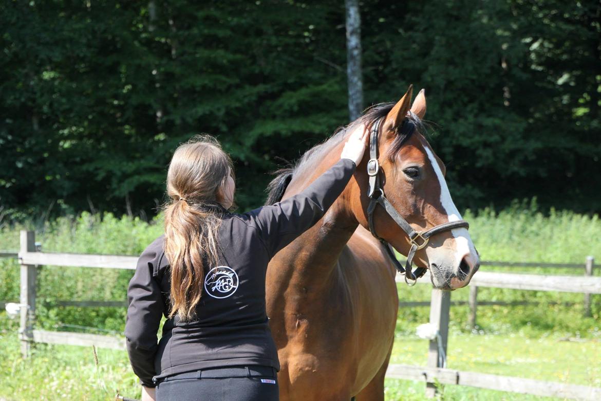 Oldenborg Phoebe de Ville billede 11