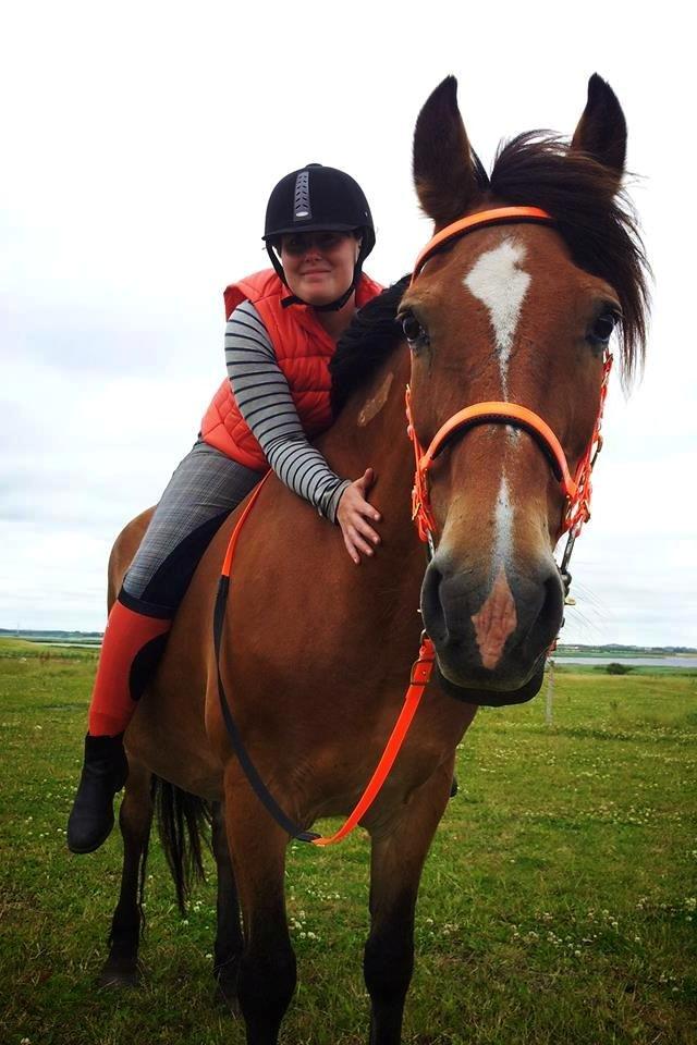 Koldblodstraver Tronilla - 18/7 - 2013 <3 billede 7