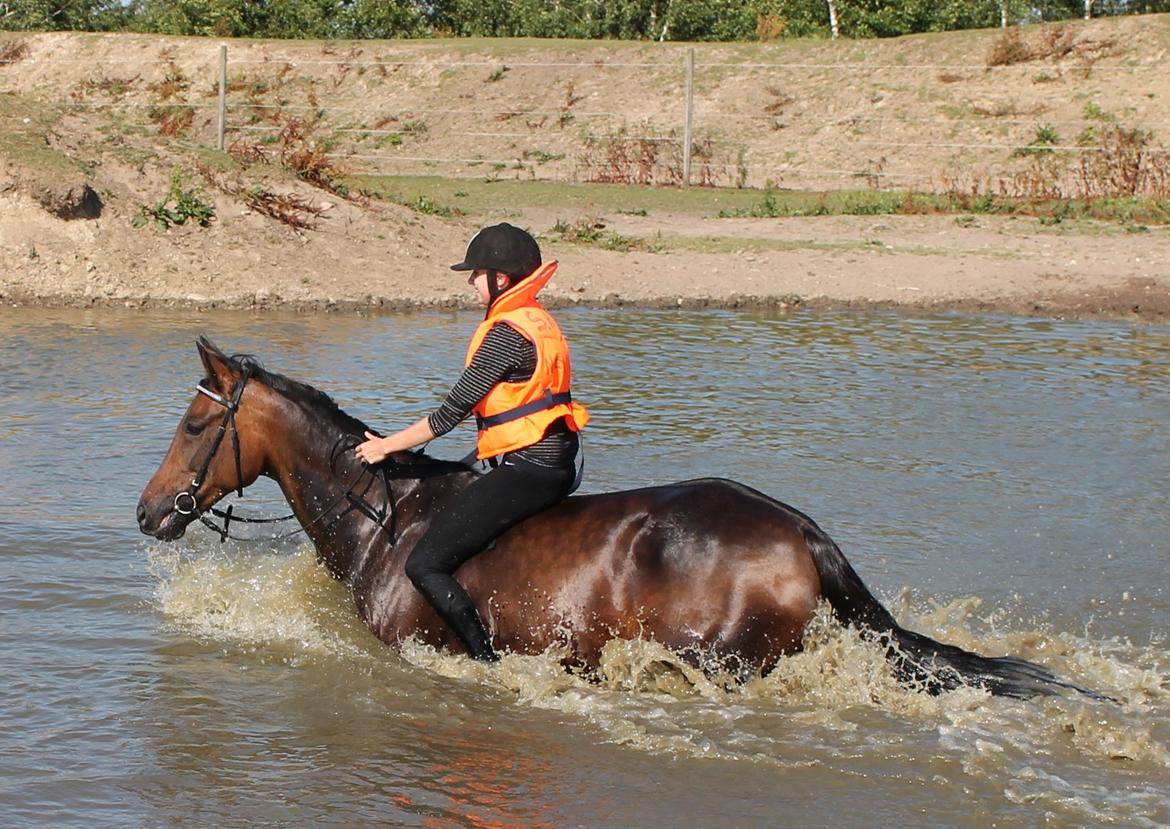 Traver Ragpicker's Dream "Pippi" <3 billede 5