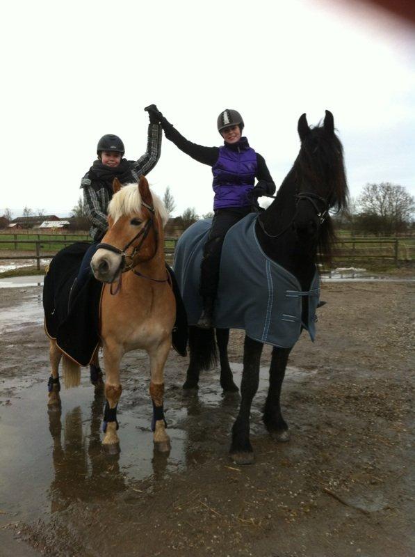 Frieser Zaffa AF Fugleholt (mors) - mig på zaffa og søster på min pony. billede 5