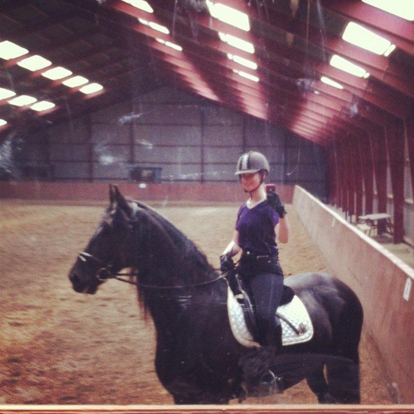 Frieser Zaffa AF Fugleholt (mors) billede 8