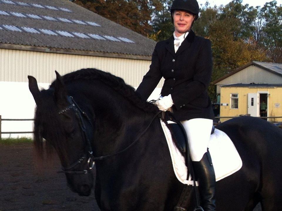 Frieser Zaffa AF Fugleholt (mors) - mor til stævne billede 11