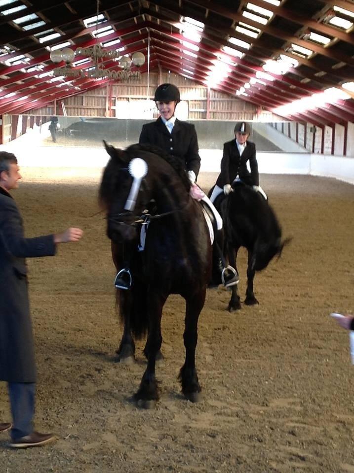 Frieser Zaffa AF Fugleholt (mors) billede 12