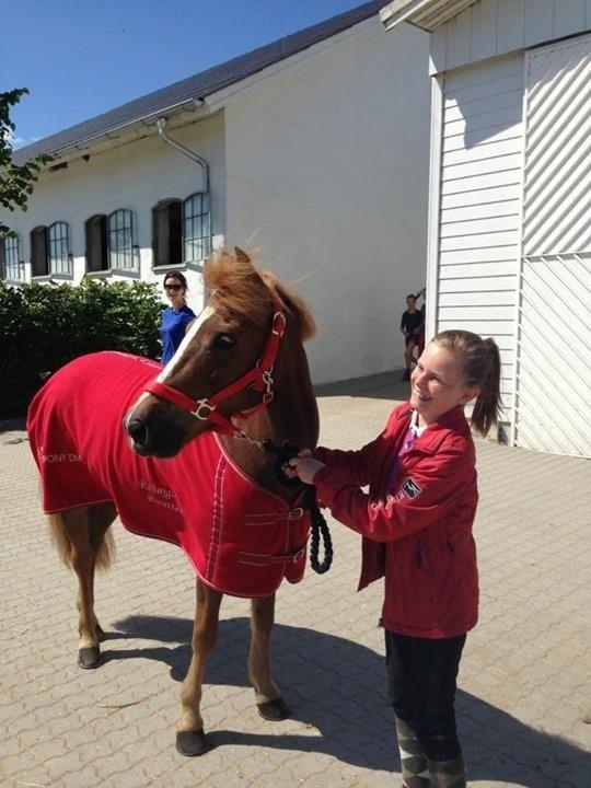 Anden særlig race Vesterbygårds Freja SOLGT - Freja ankom d. 5/06-2013!! billede 1